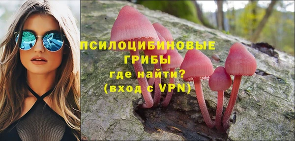 гашик Липки