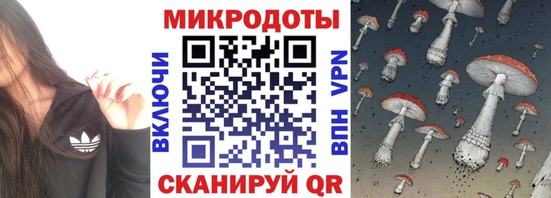Купить где  Буйнакск  Псилоцибиновые грибы мицелий 